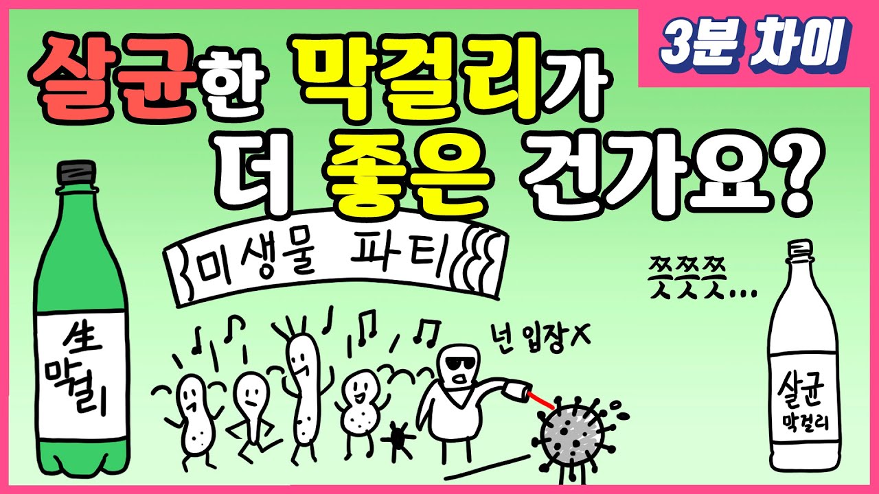 [3분차이] 생막걸리와 살균막걸리, 어떤 차이가 있을까?