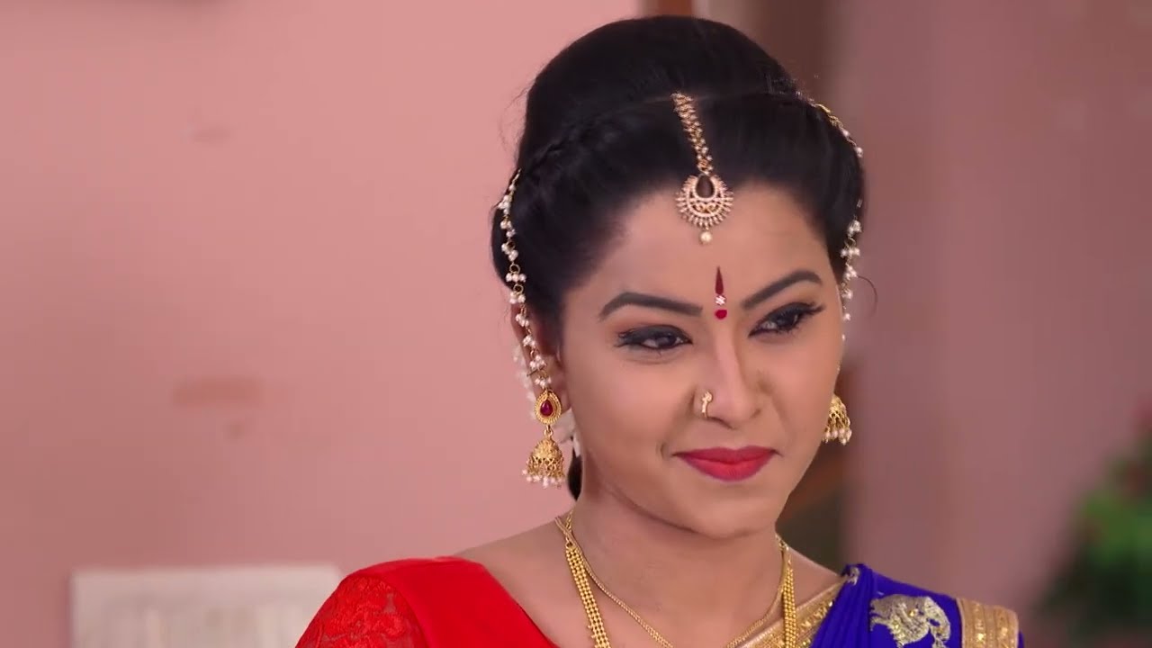 Bangaru Gajulu - Ep 246 - Tammareddy Krishna Murthy - Telugu Tv Serial - Zee5 Telugu Classics