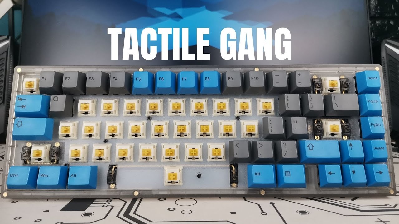 GLORIOUS PANDA vs. GAZZEW BOBA U4T
