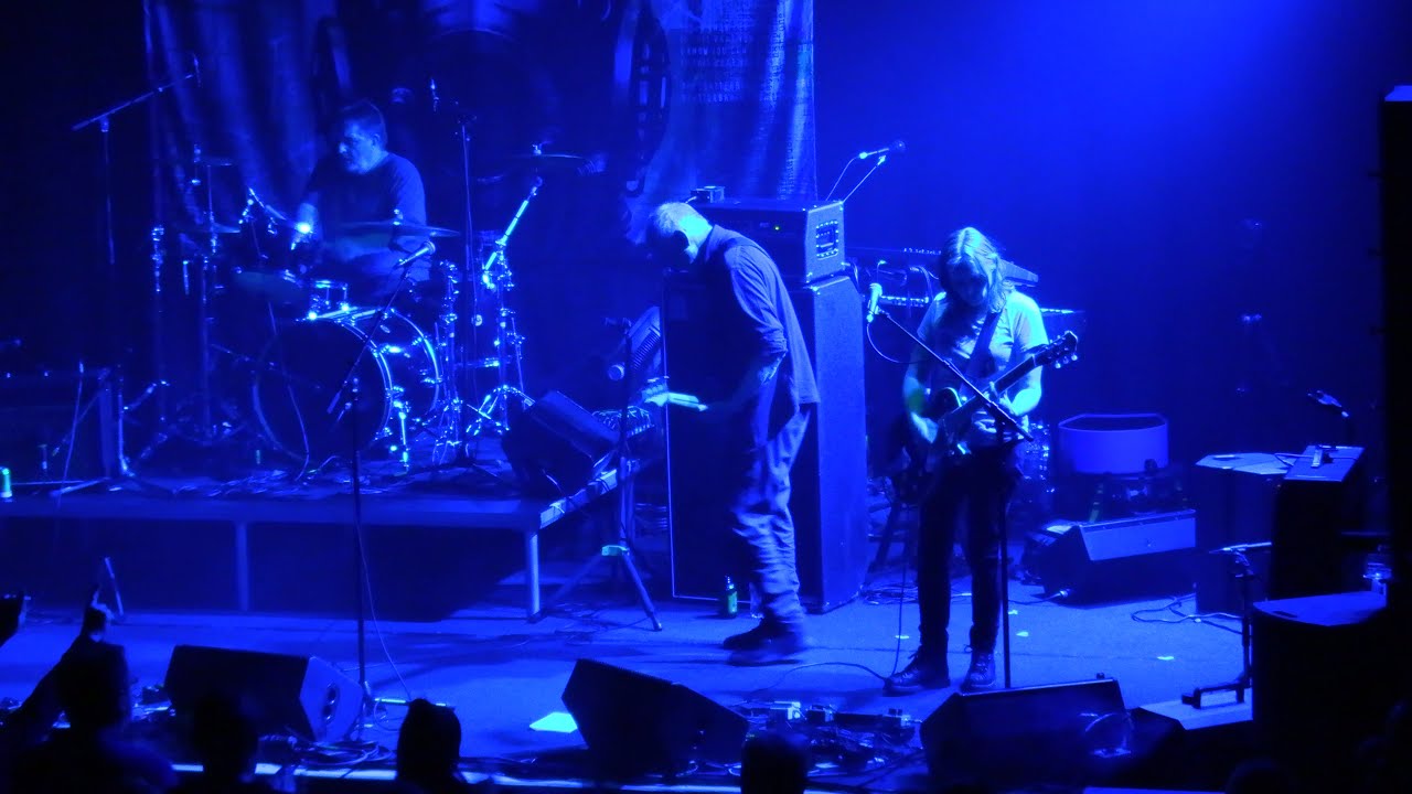 The Bats 