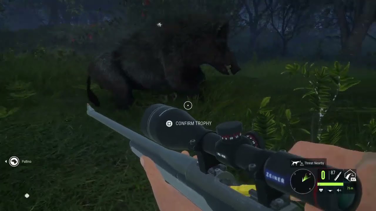 Tòrr nan Sìthean - Wild Boar Hunting in Scotland - theHunter: Call of the Wild