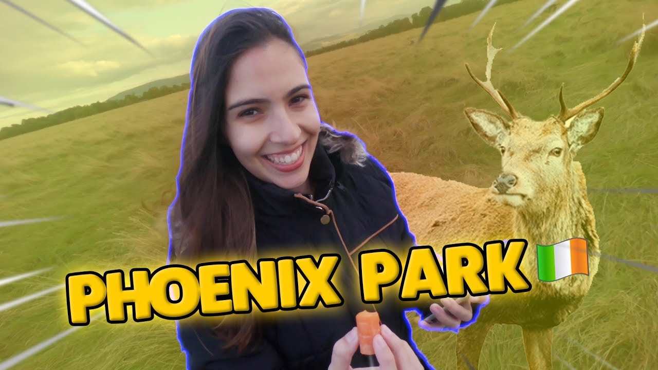 VIMOS OS VEADINHOS NO PHOENIX PARK *maior parque da Europa* ‹ Let's Bora ›
