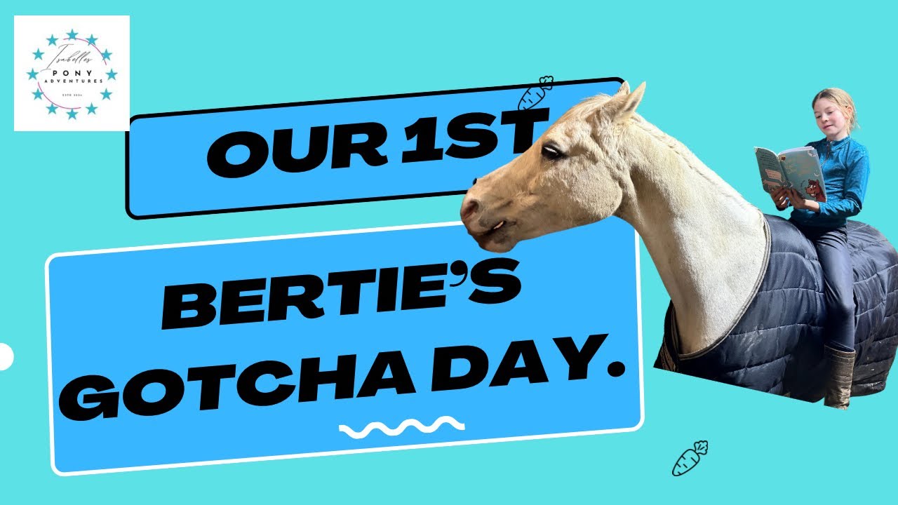Bertie’s Gotcha Day. One Year Together with Isabelle and Donkey Doughnuts