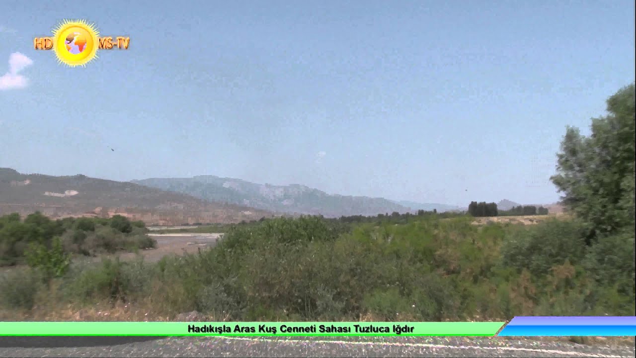 Halıkışla Aras Kuş Cenneti Sahası Tuzluca Iğdır 4K UHD