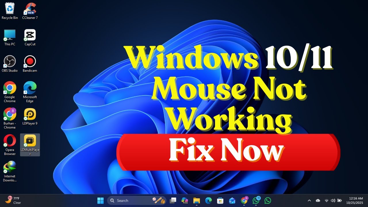 Не работает мышь в Windows 10/11 &mdash; быстрое решение (решение 2025 года)
