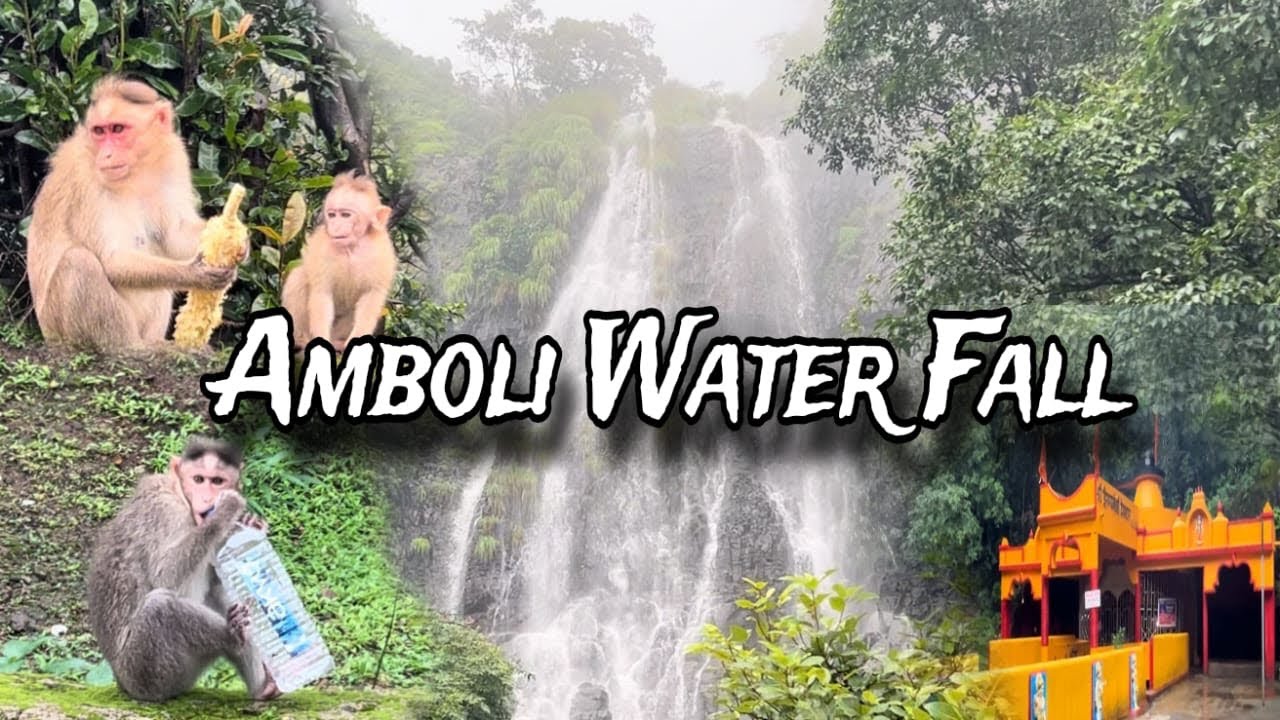 Sindhudurg  ||  Amboli water Fall  ||  Western ghats of Maharashtra || 2024