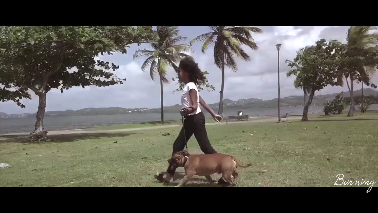 Martinique : Balade au bord de mer du Robert
