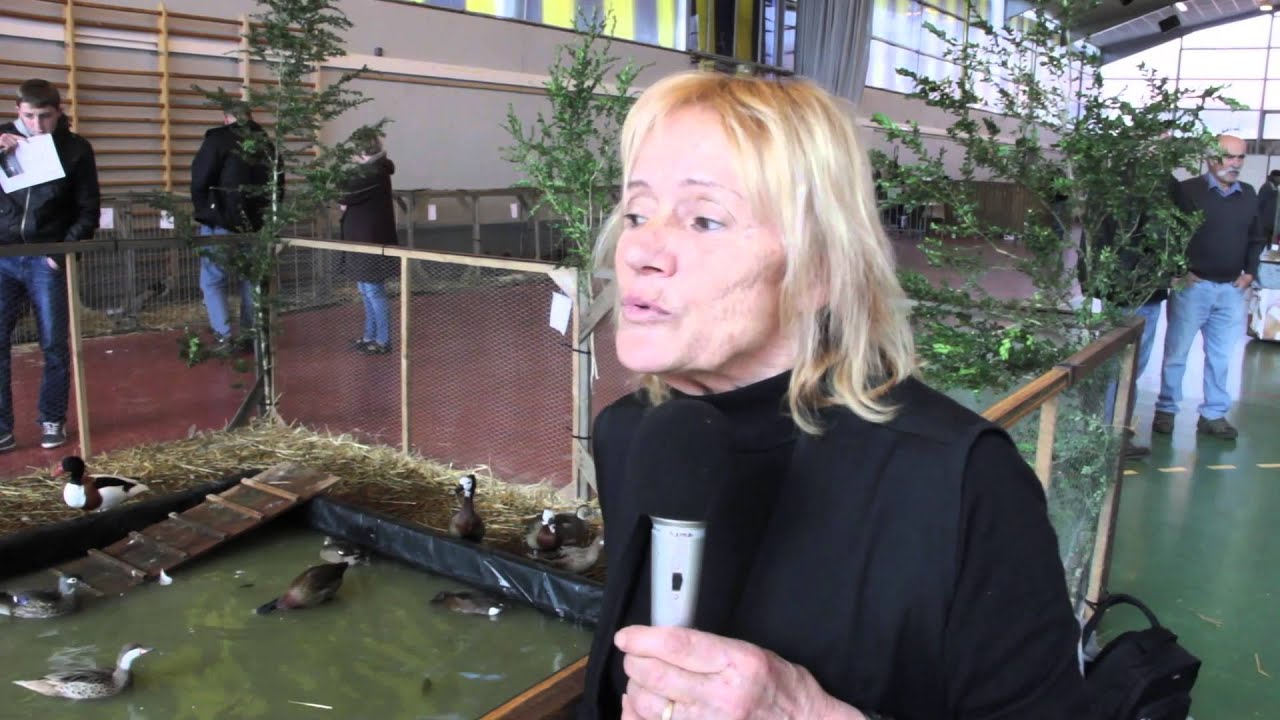 la foire avicole de saint Girons
