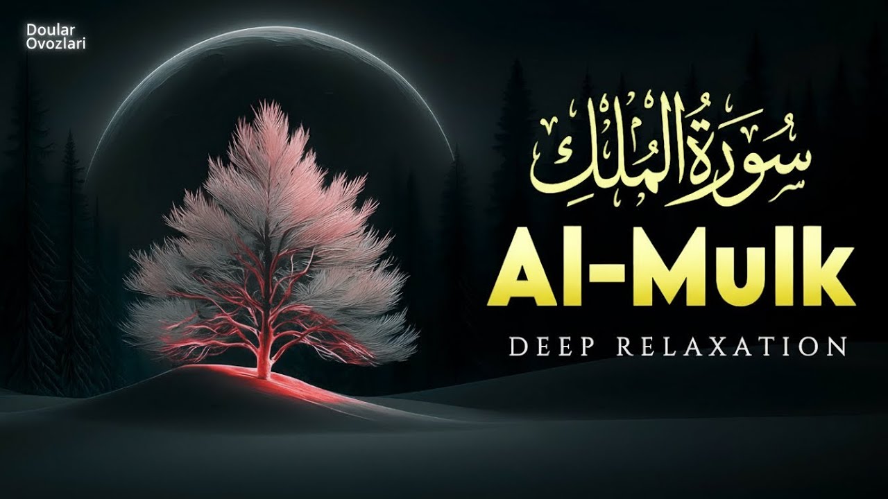 Let the Holy Quran Touch Your Heart and Soul | Peaceful Quran Recitation | ALAA YASER