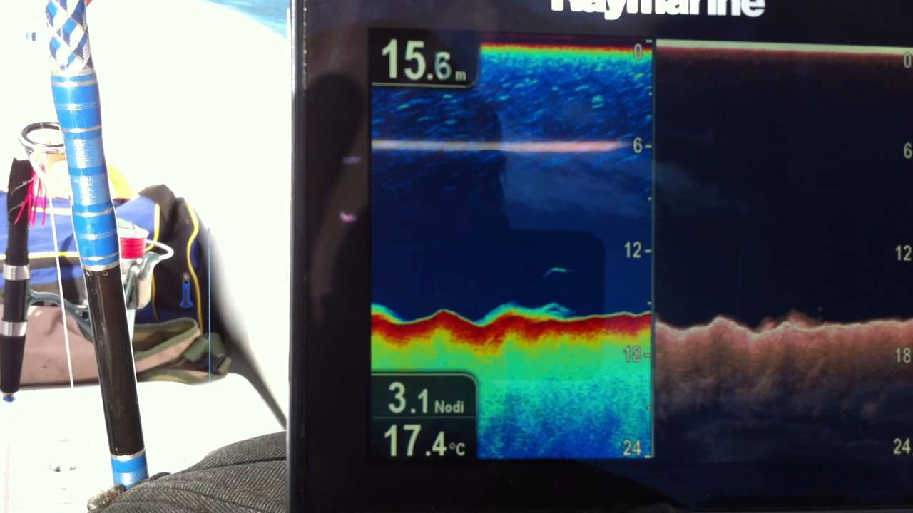 Raymarine Dragonfly sul Marshall m80 Catchthemonster