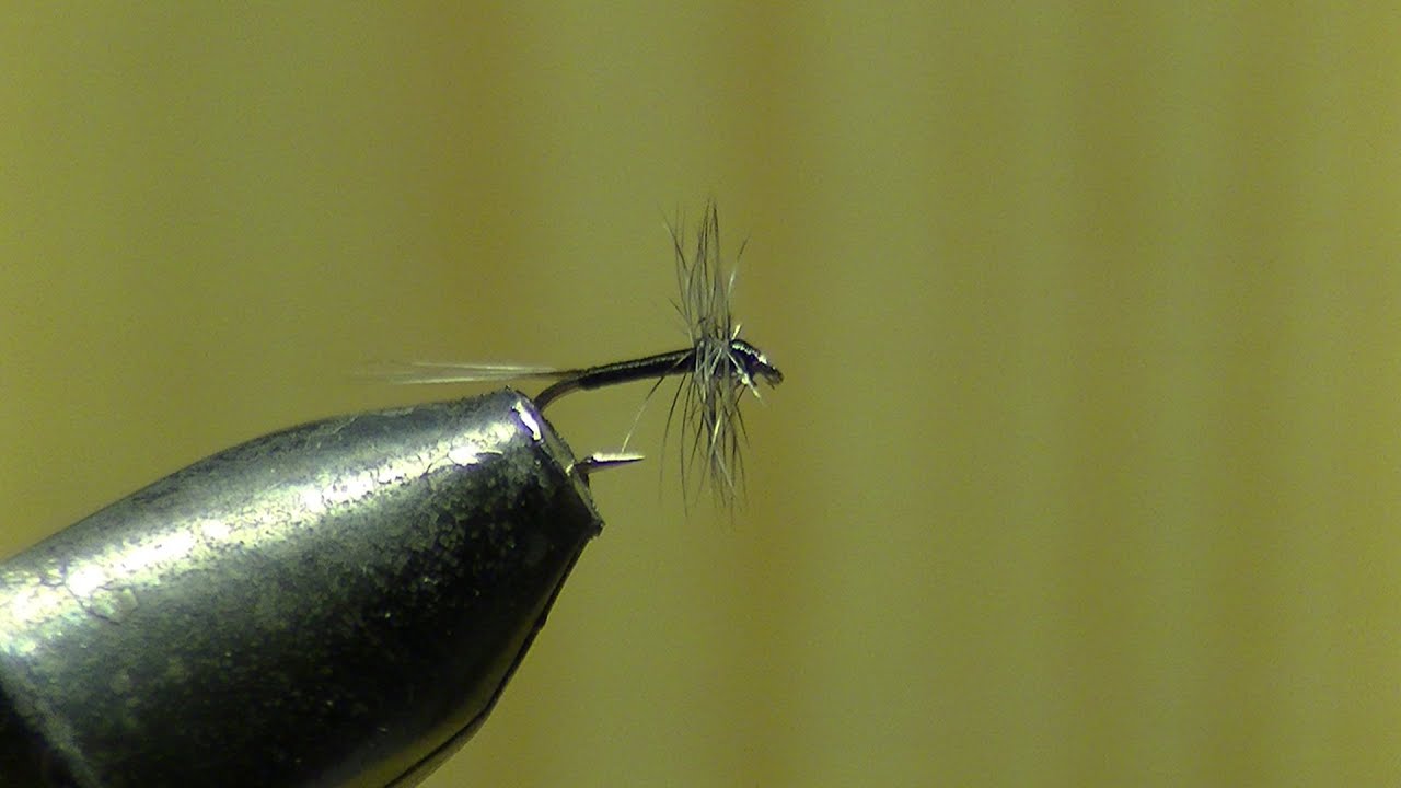 Montage Mouche : Araignée simple