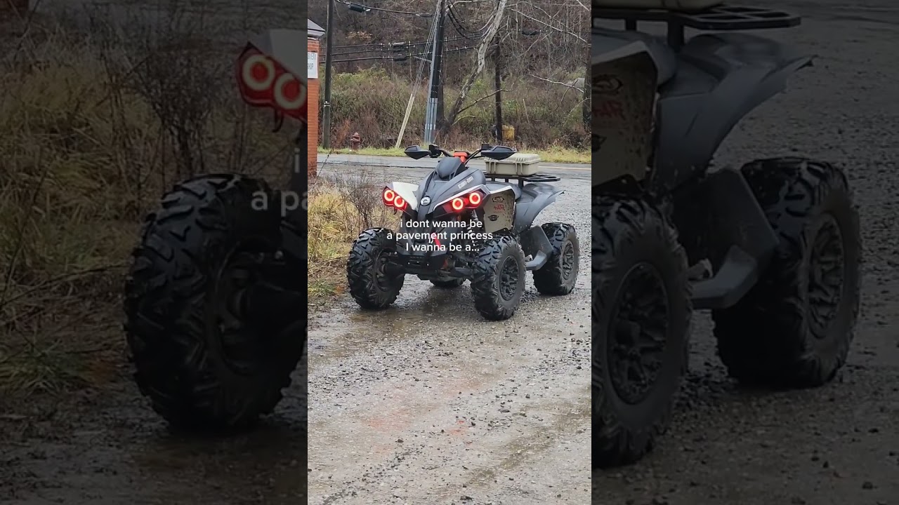 #renegade #canam #canam1000r #mud