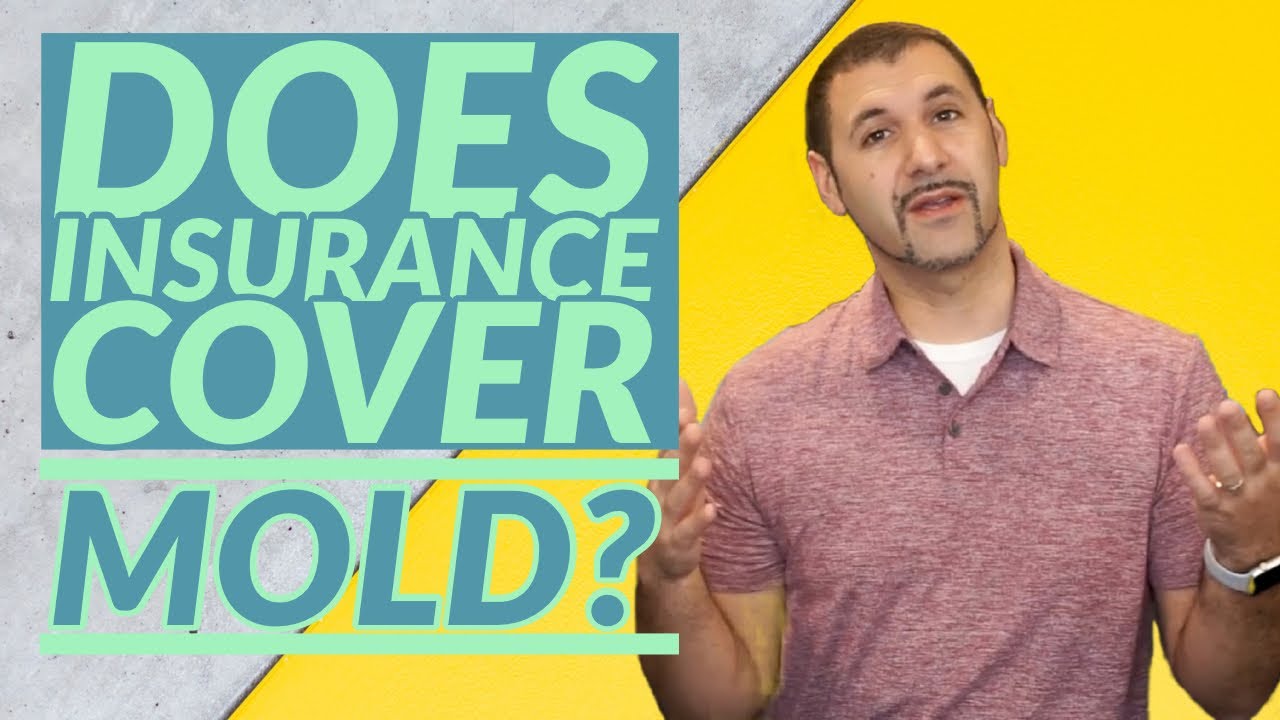 Does Homeowners Insurance Cover Mold? | Home Insurance Mold and Water Backup