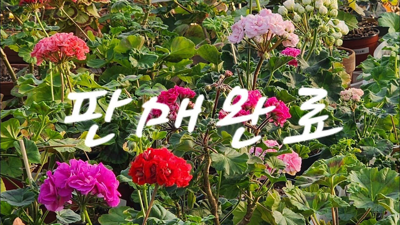 2025~~고생했어요~~