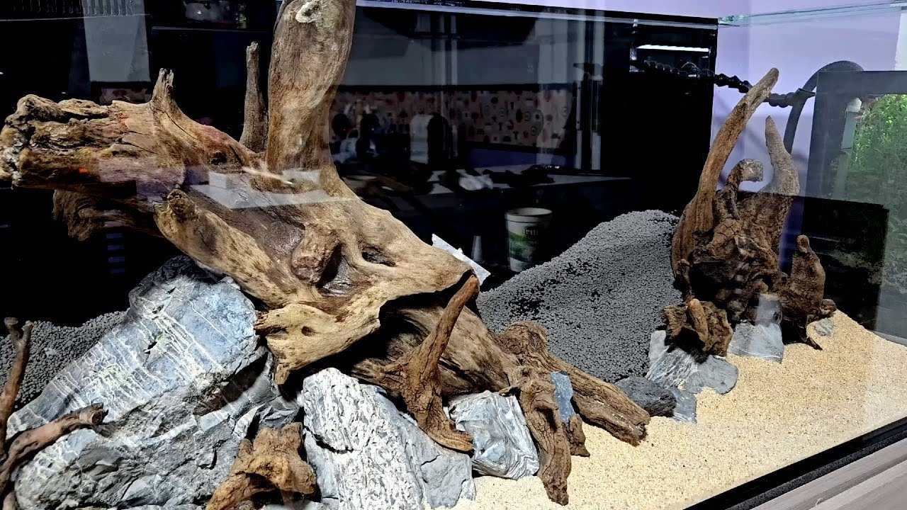 Aqua Nature en ACCIÓN: Hardscape Epico para un Acuario de 300 Litros