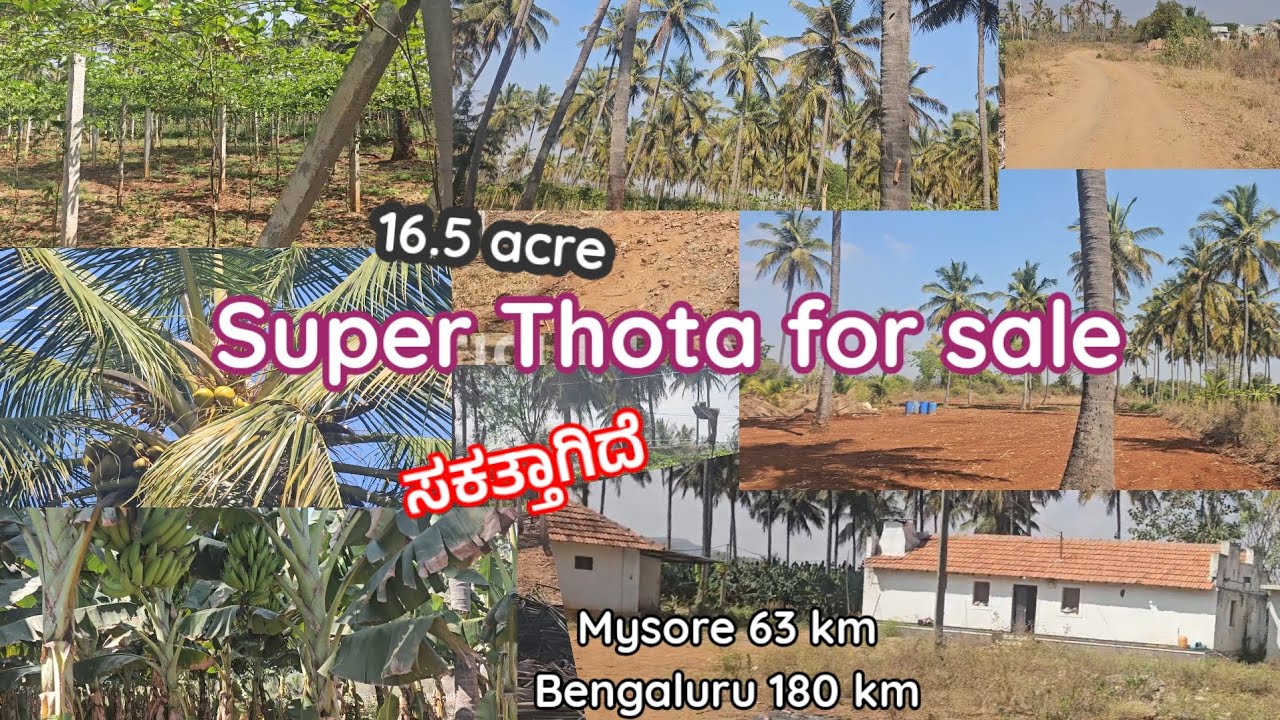 16.5 acre super land for sale Bore fence house Mysore 63 km Bengaluru 180 km call 9845736390