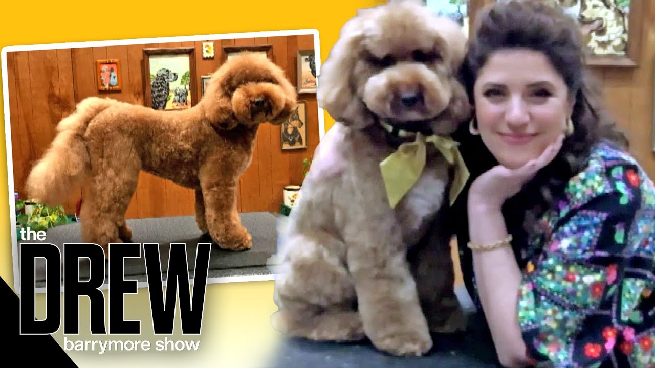 Jess Rona Unveils the Adorable Doggy Makeover She Gave Pup During Show