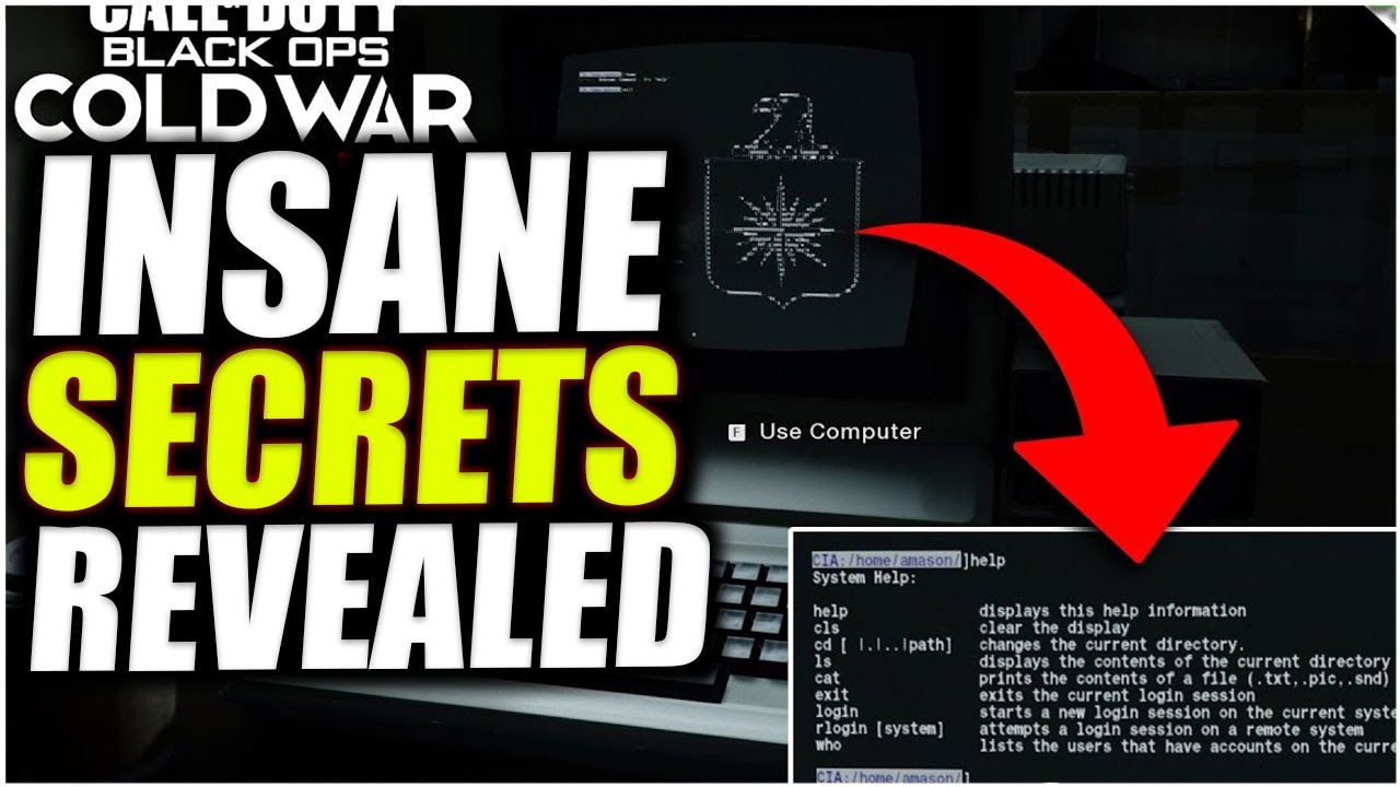 COD Pro Players REVEALED Their Pro Secrets: Cold War (PRO PLAYER SECRETS)