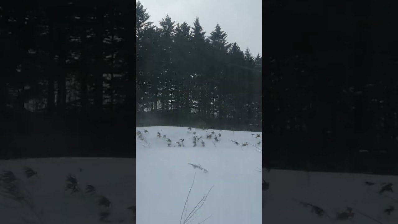 Hokkaido