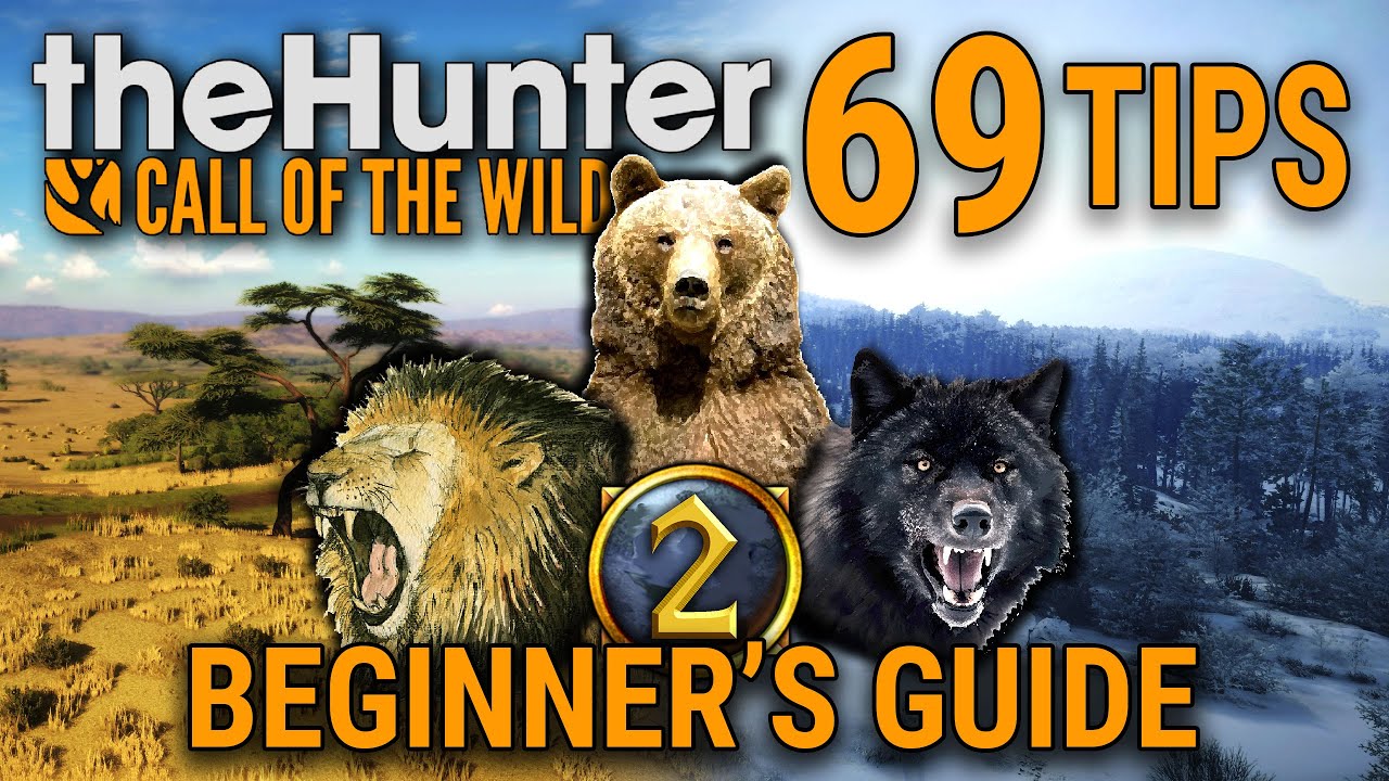 Руководство для начинающих TheHunter | Call of The Wild 2025