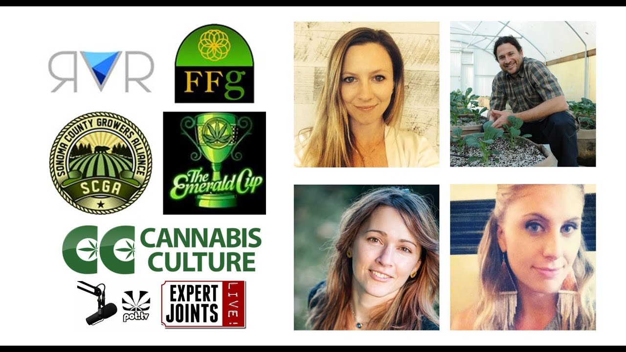 Expert Joints LIVE! - Tales From The Triangle
