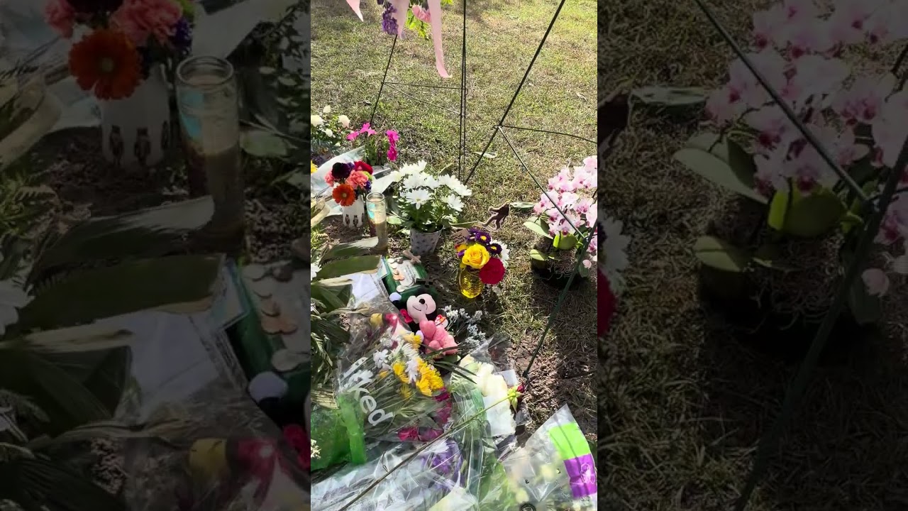 198.6 - Mt Peace Cemetery (Special Request Update), St Cloud, Fl