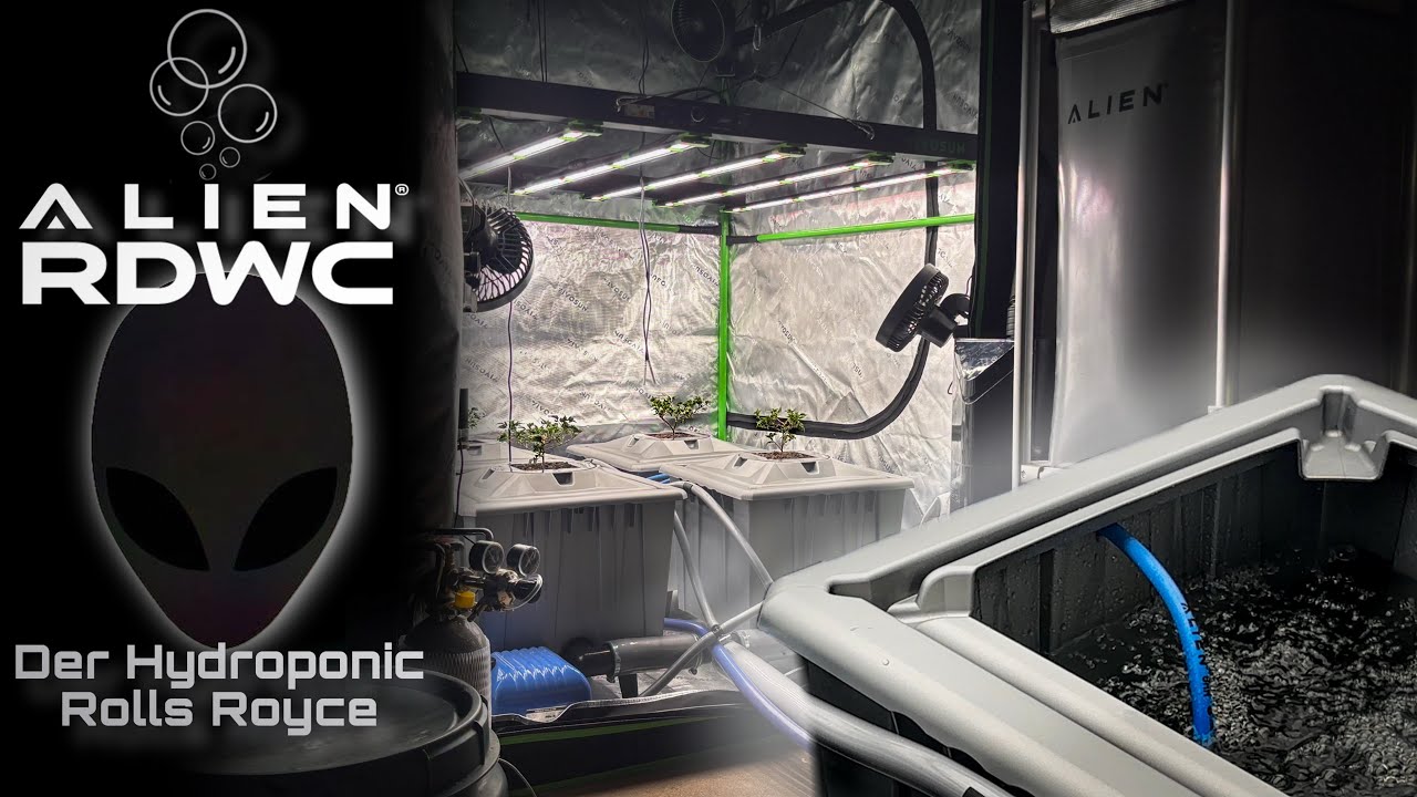 ALIEN&reg; RDWC 4 Pot 36L PRO Silver Series Aufbau // Der Rolls Royce der Hydroponic - Systeme
