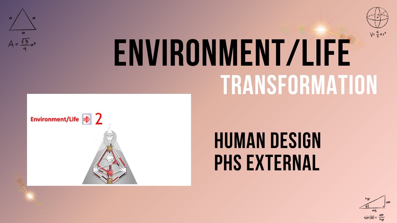 Human Design: Align Your Environment for a Thriving Life