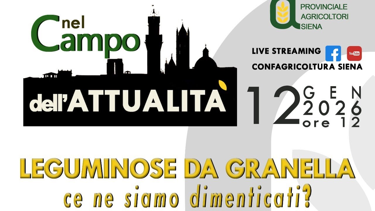Leguminose da granella, ce ne siamo dimenticati?
