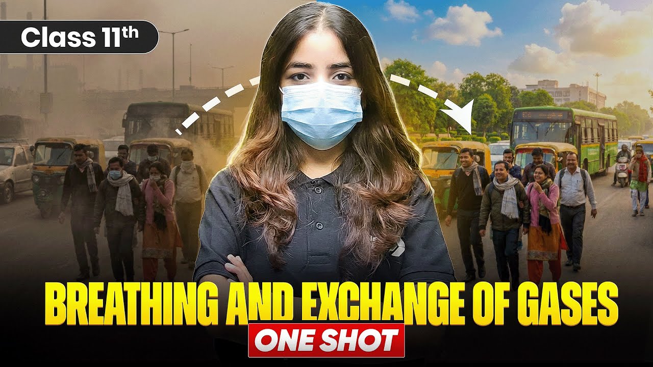 Breathing and Exchange of Gases Class 11 One Shot | 11th Biology Chapter-14 Revision | CBSE 2026
