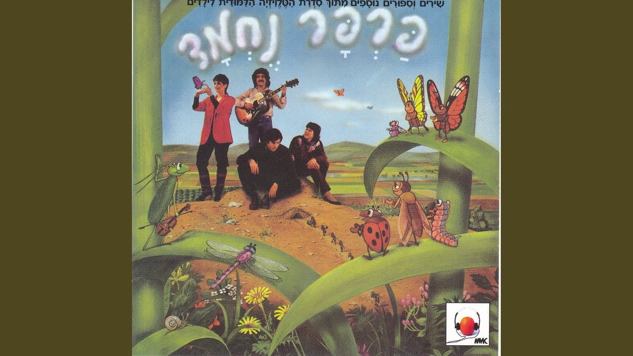 איך צומחים?