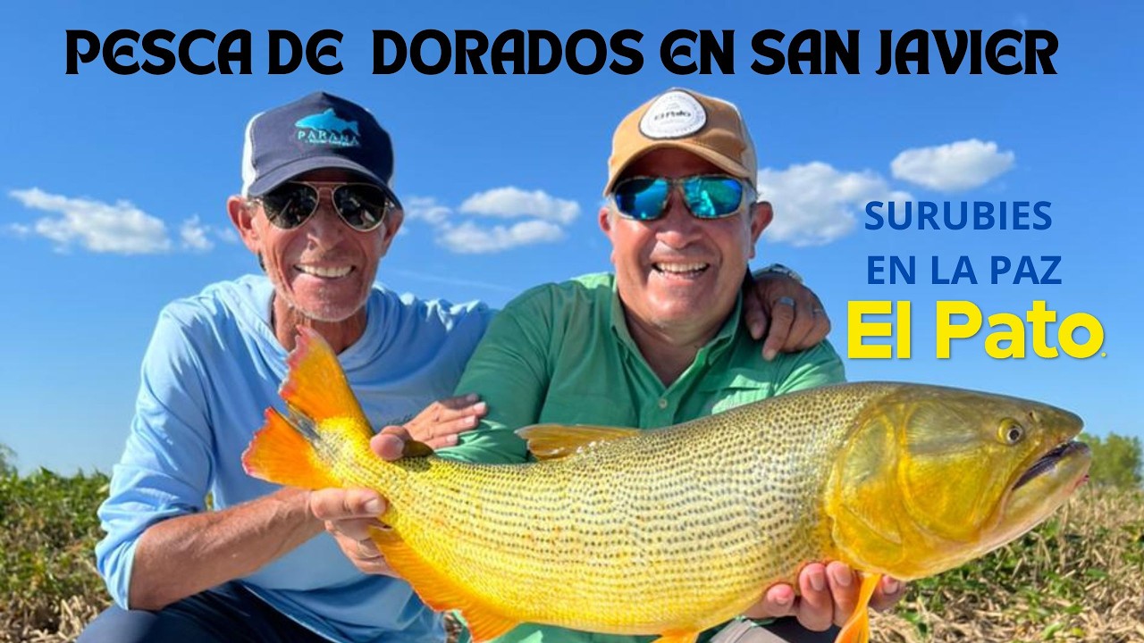 SURUBÍES EN LA PAZ, DORADOS EN SAN JAVIER Y LA PREVIA DEL BINGO DEL PESCADOR - EL PATO TV 1232