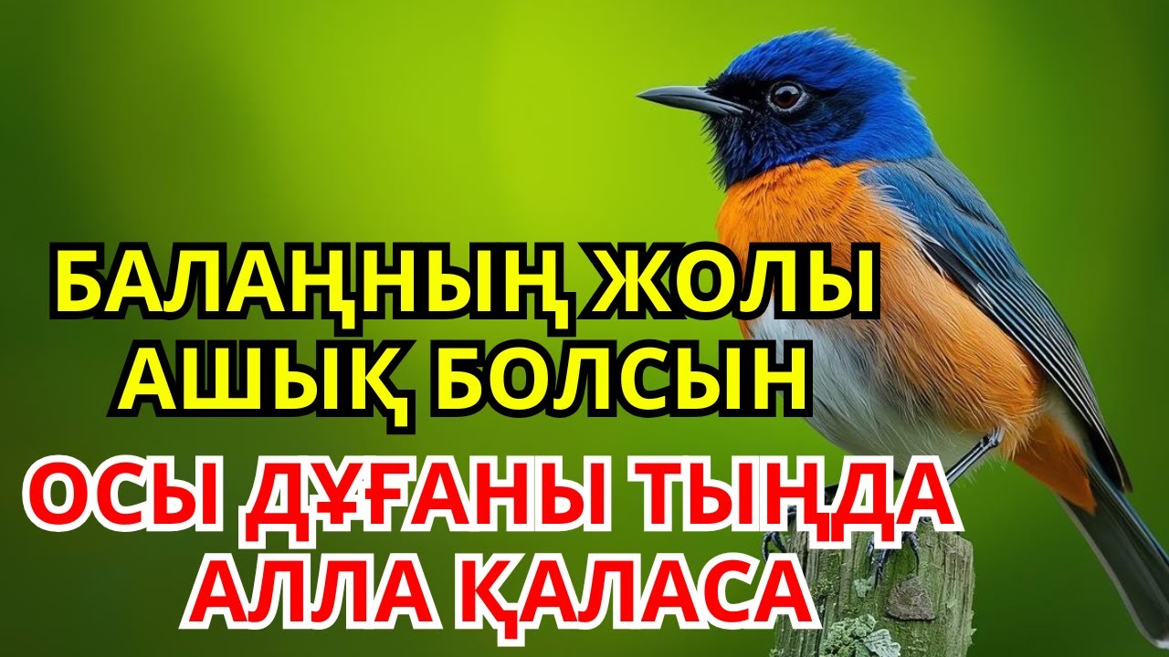 ЖАМАН КӨЗ БЕН ҚАУІПТЕН САҚТАЙТЫН ДҰҒА – БАЛАҢ АМАН БОЛСЫН