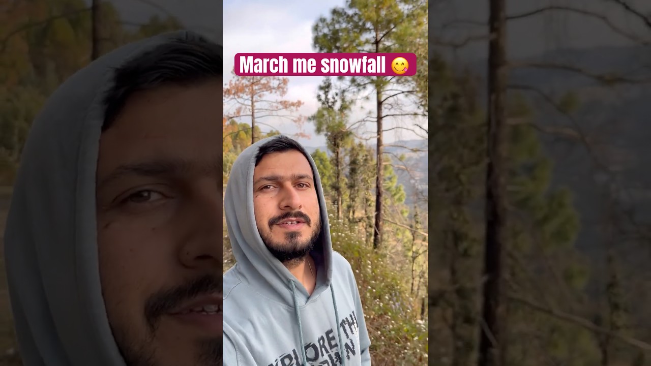 Shimla Narkanda weather today #shimla #travelupdate #shorts #snowfall #himachal