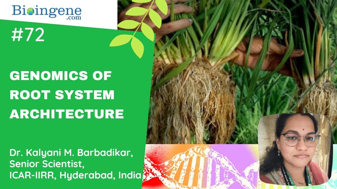 International Webinar- Genomics of Root System Architecture in Rice: For Stress Resilience