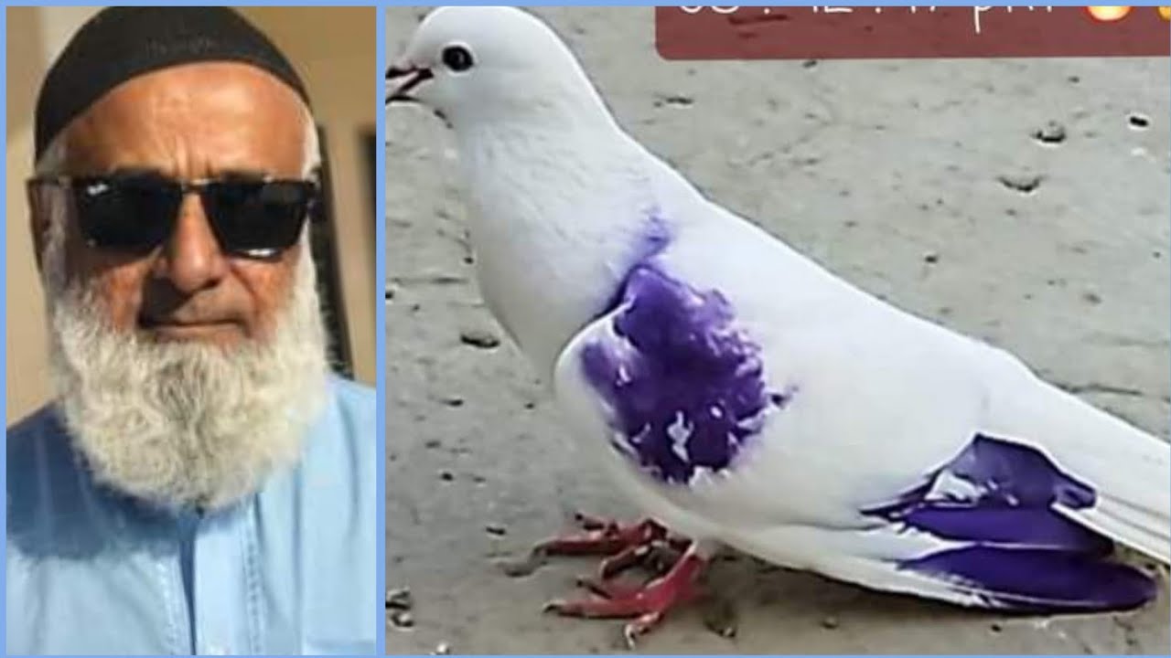 Ustad Haji Muhammad Yusuf of Karachi ki chat se...