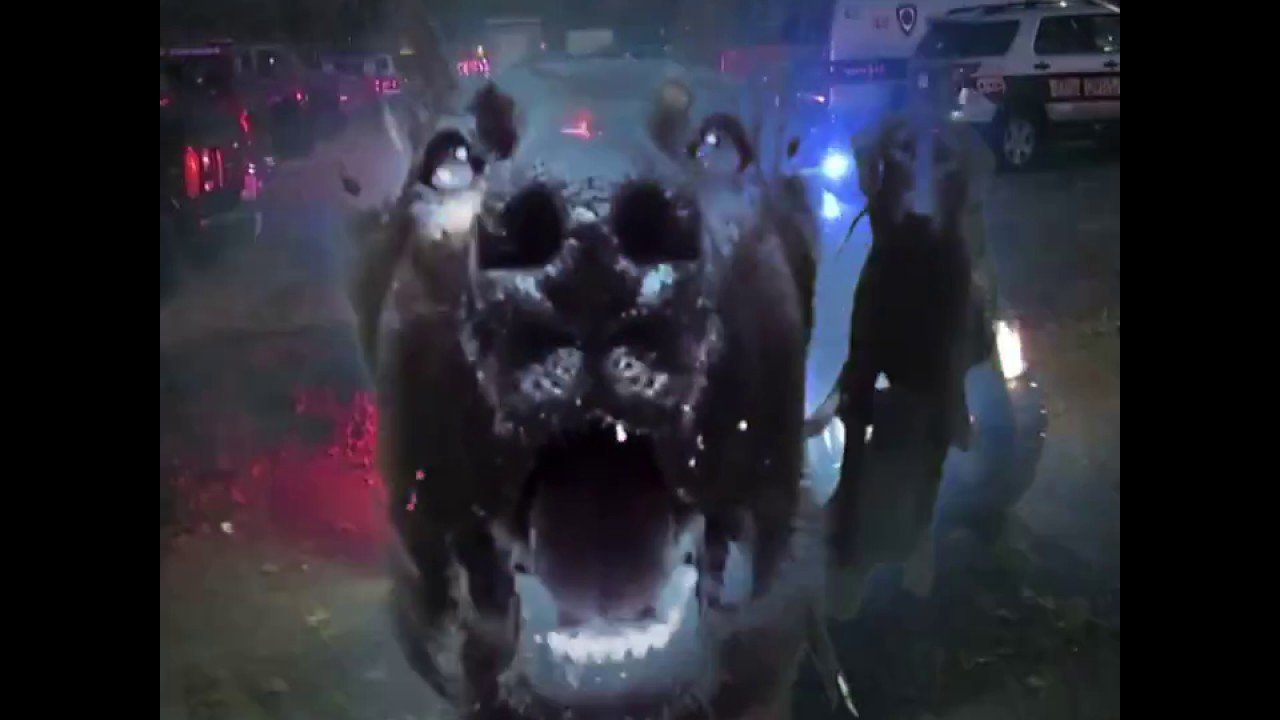 Ziedu Vija - Piekauj mani