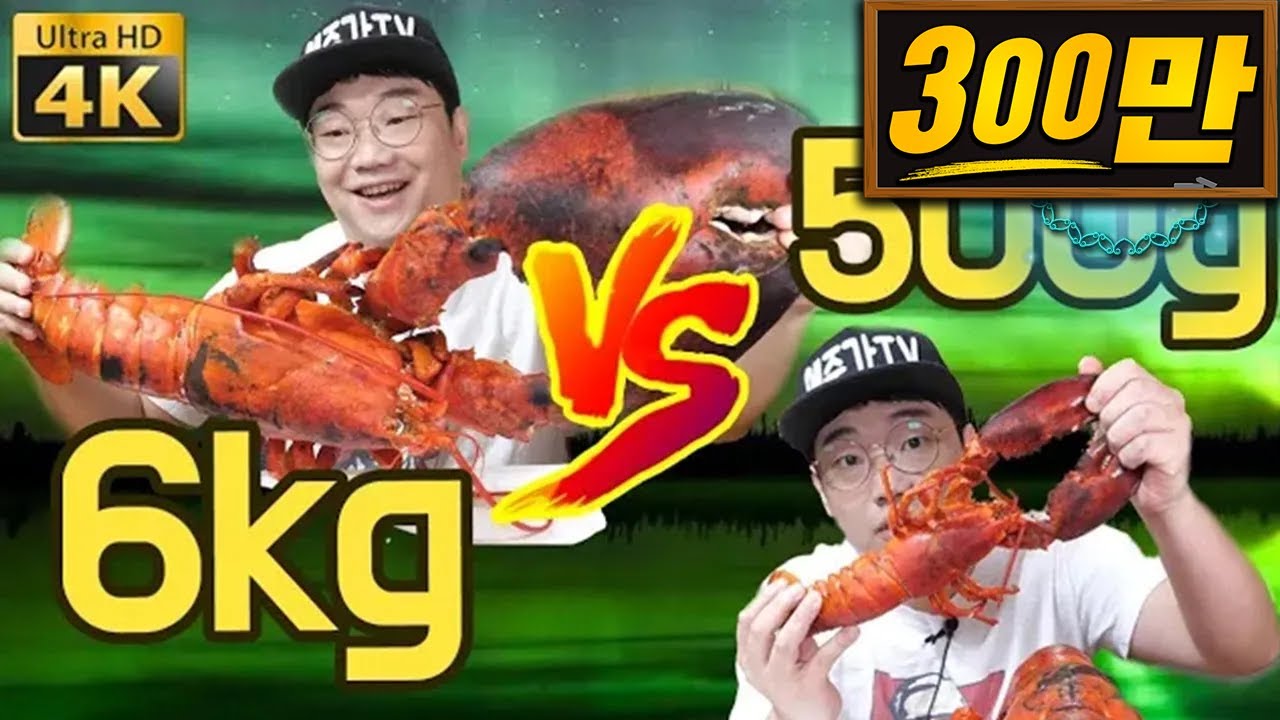 랍스타 6.2KG VS 500g  비교 먹방 리뷰