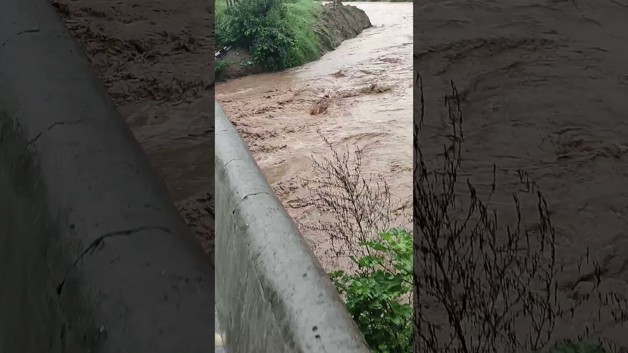 FLOOD in NaLa 😂 #shorts #trendingshorts #trending #army #btc #flood #nature #pmmodi #cmyogi #mha