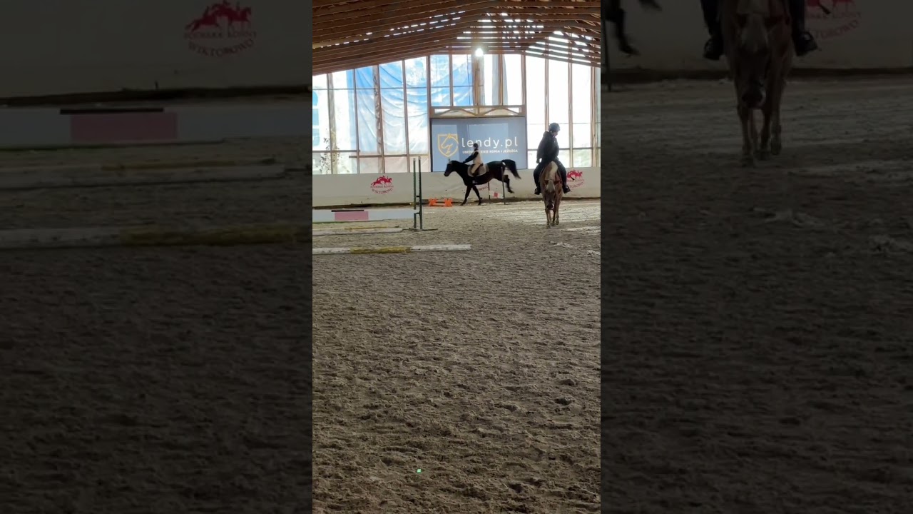 bey🔥🫶🏻 #horse #horsejump #equestrian #jumping #horseriding #equestrianriding #riding