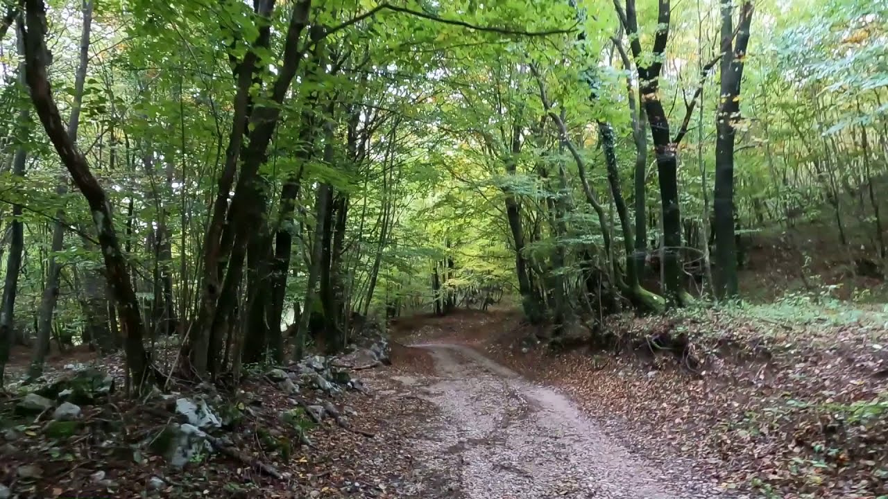 Hahlići 18.10.2020.