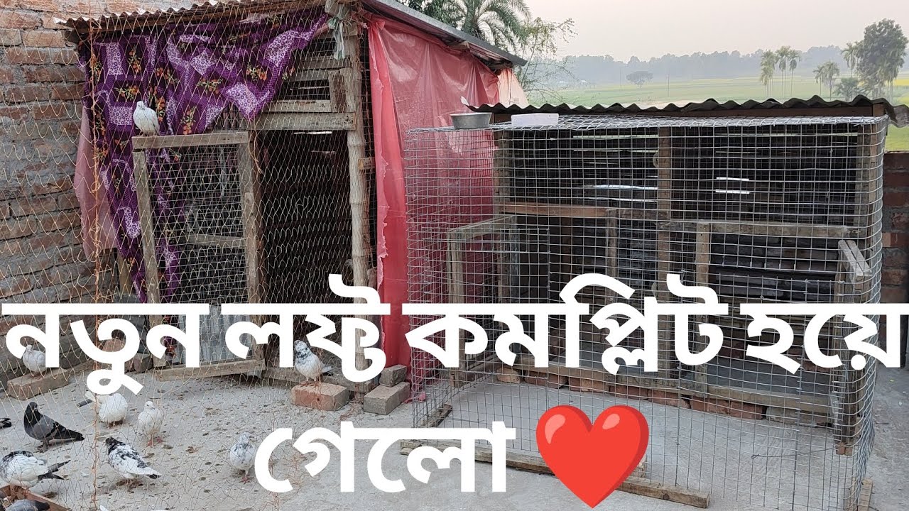 লফ্ট এর কাজ প্রায় শেষ হয়ে গেছে ❤️ 13/1/2025॥