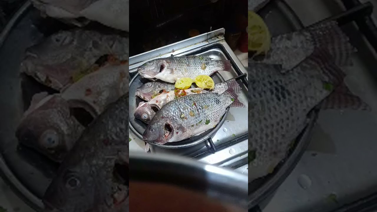 بدأت قناة 