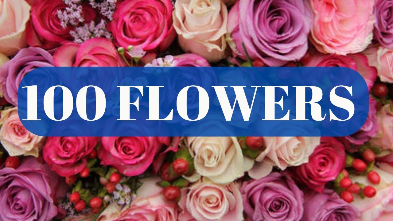 FLOWERS of the World - Names of 100 Different Types of Flowers #flowers