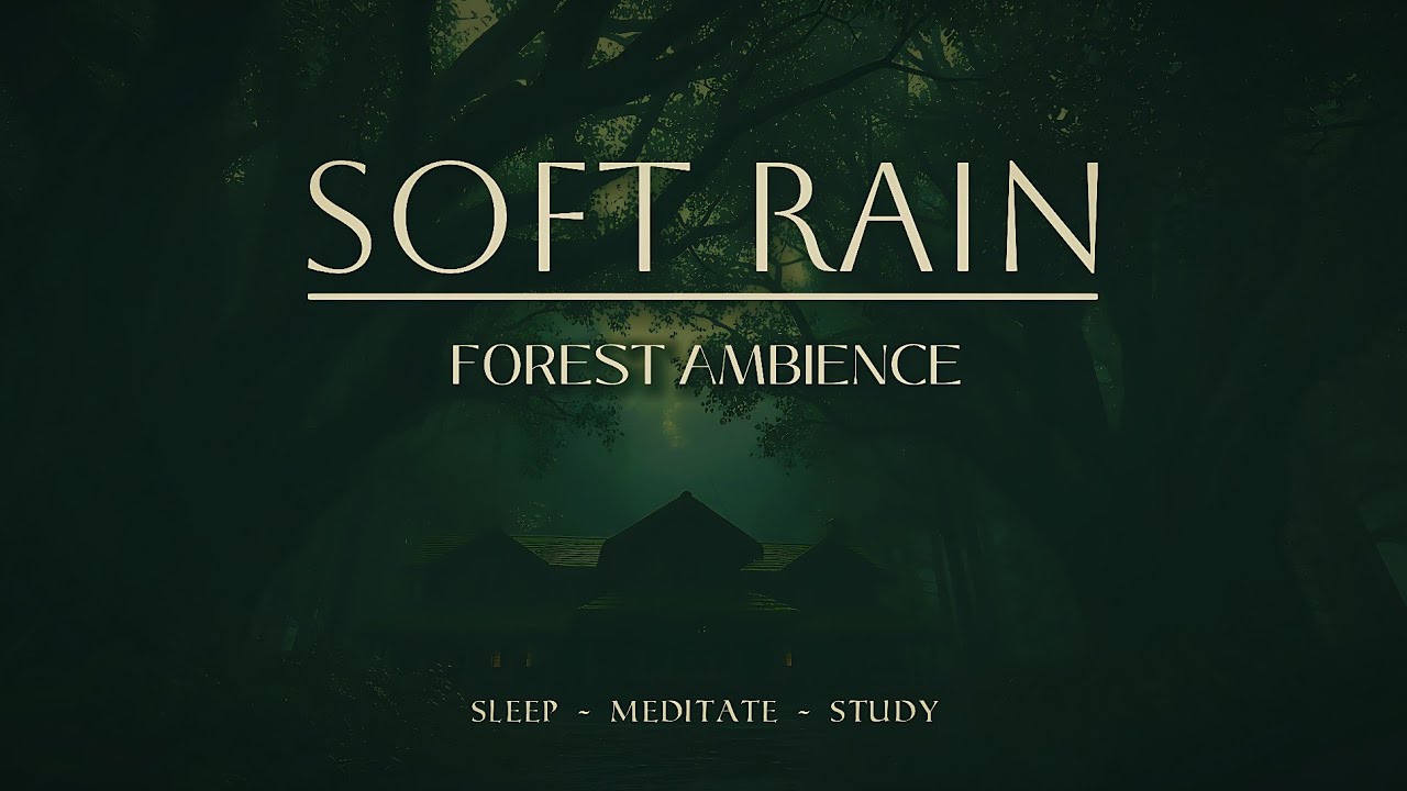 Rain Sounds in a Deep Forest at Night 🌙 | Calm & Soothing Ambience