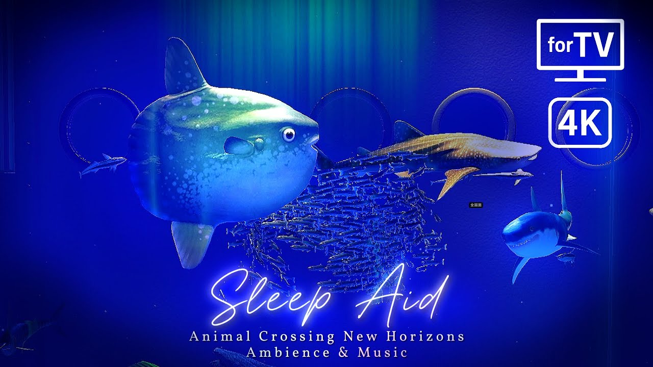 【あつ森BGM】静かな夜の水族館 - リビングを水族館に🫧｜睡眠導入・環境音・リラックス音楽・4K映像🪼