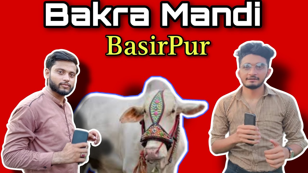We Are In Bakra Mandi Basirpur - Funny Interview - Fazool Vynz Official - Fazool Vines - Qurbani