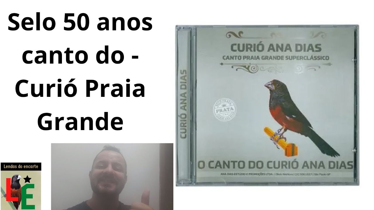 Selo 50 anos canto do   Curi&oacute; Praia Grande   cl&aacute;ssico para encarte de filhotes, &aacute;udio original! LDA!