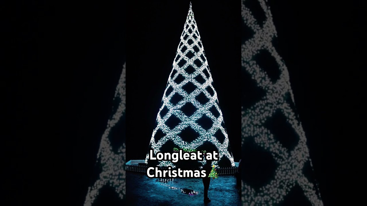 Longleat really know how to put on a Christmas Tree Show! 🎄