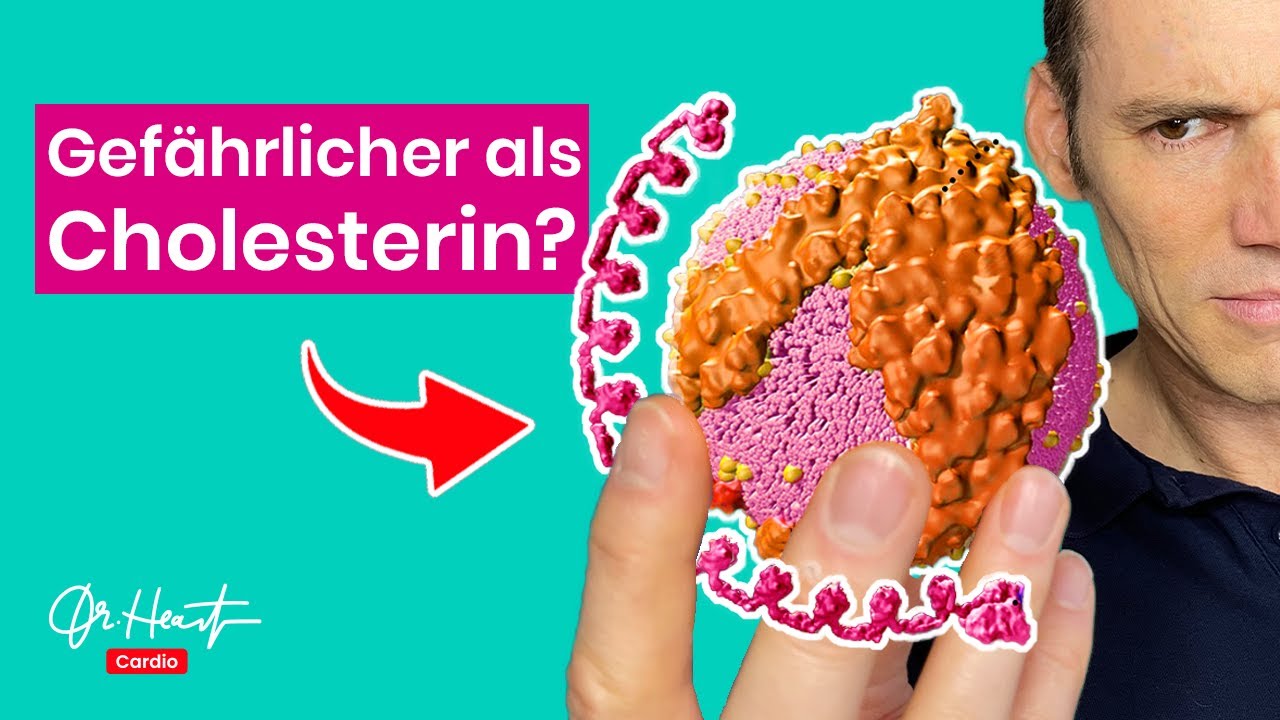 Lipoprotein(a) - Gefährlicher als Cholesterin? | Dr. Heart